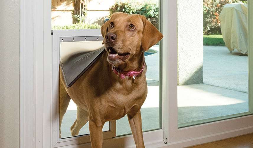 Orange County Windows