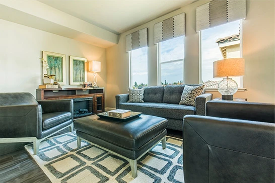 Windows Anlin Photo 3